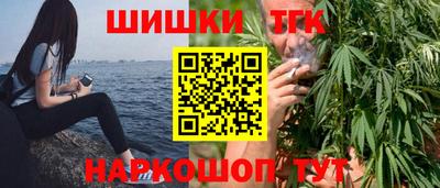 индика Будённовск