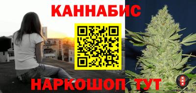 индика Будённовск